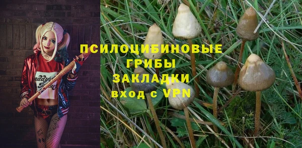 амф Алексеевка