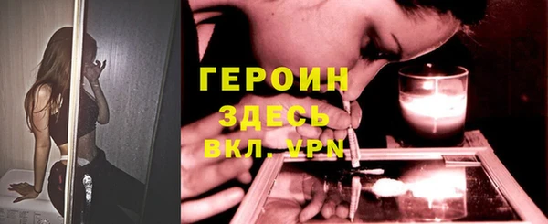 гашик Алексин
