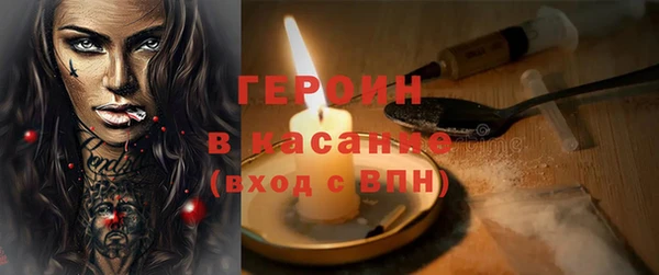 гашик Алексин