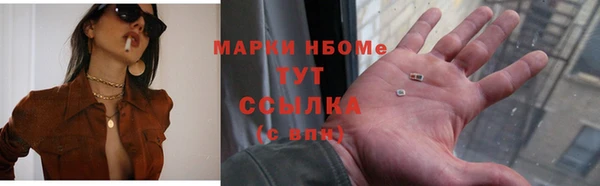 гашик Алексин