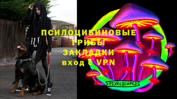 гашик Алексин