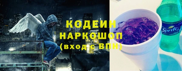 гашик Алексин