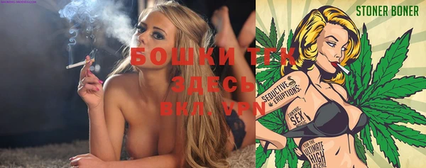 гашик Алексин