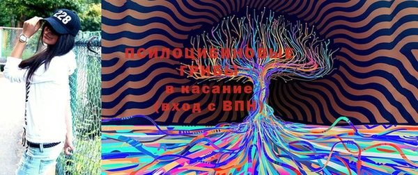 амф Алексеевка